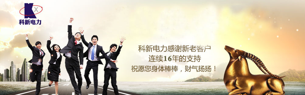 高壓試驗變壓器，串聯諧振，微機繼電保護測試儀，武漢科新電力